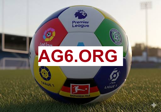 亚星代理企业仪表板